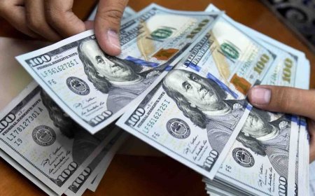 تحلیل رفتار بازارساز؛ ارز رسمی در خواب، بازار آزاد در تب‌وتاب!