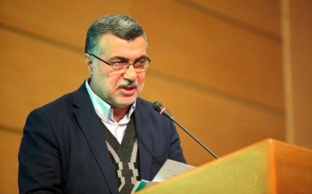 ظفرقندی: باید جلوی مهاجرت کادر درمان را بگیریم