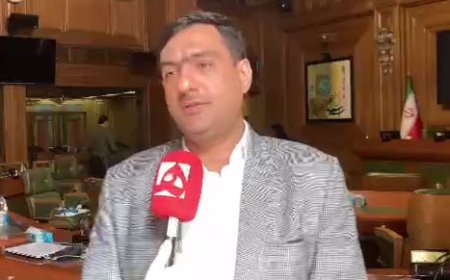مهدی بابایی: عوارض قطع درخت دو برابر دیه انسان است