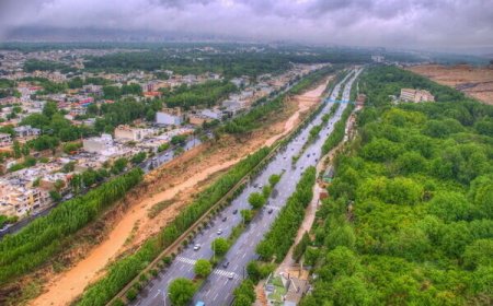 عضو شورای شهر شیراز : ریه‌های شهر شیراز را دریابیم