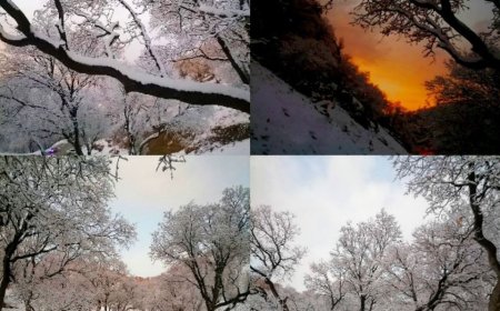 ببینید| زمستان زیبای خوزستان، امام زاده عبدالله صیدون