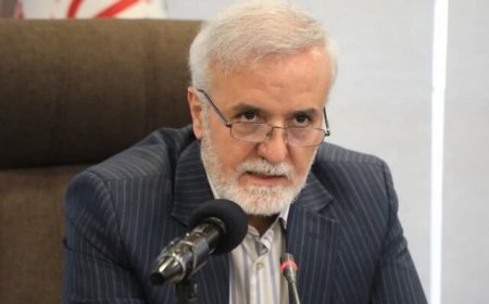 شهردار: شیراز باید عروس شهرهای ایران شود/ ایجاد کمربندی سبز