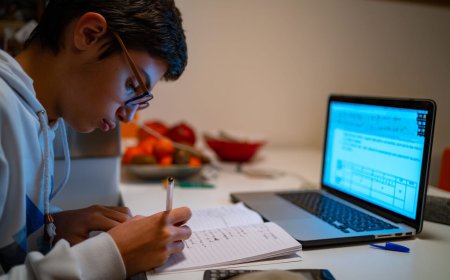 وضعیت آموزش غیرحضوری مدارس در فارس