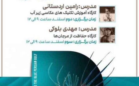 برگزاری نمایشگاه عکس آبی در کیش