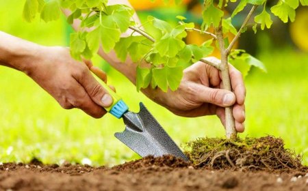 پویش ملی روز درختکاری در شیراز