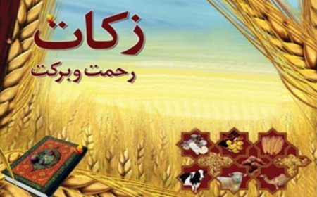 هرمزگانی‌ها ۴۱ میلیارد تومان زکات پرداخت کردند