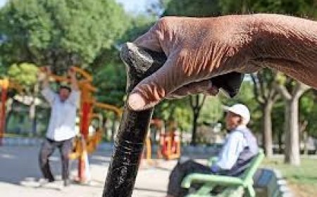 ۱۵ درصد تا ۱۴۱۰،هرمزگان پیشتاز در جمعیت سالمندان ایران