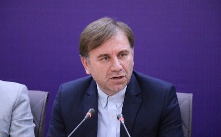 استاندار : تسهیلات اختصاصی سفر رئیس جمهور باعث گره گشایی از واحدهای تولیدی بوشهر می شود