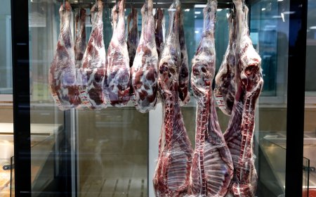 طرح تشدید نظارت دامپزشکی قشم بر امنیت غذایی به اجرا درآمد