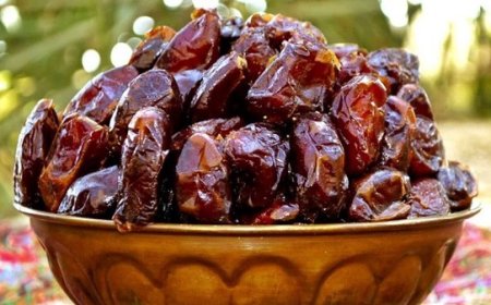 صادرات خرمای کبکاب آزاد است