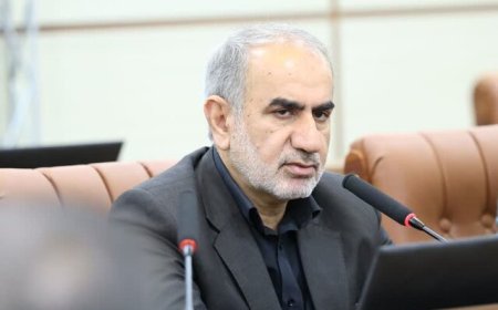 نماینده شیراز: تمهیدات مجلس برای تقویت سرمایه‌گذاری/ دولت مولدسازی کند