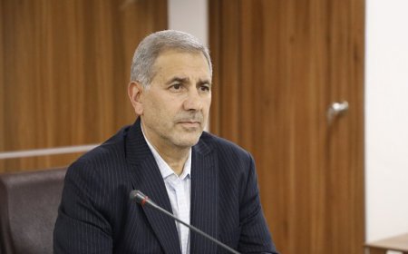 رییس دانشگاه علوم پزشکی شیراز در گفت و گو با «خبرجنوب»: اتمام پروژه های نیمه تمام اولویت اصلی ما در سال جدید است