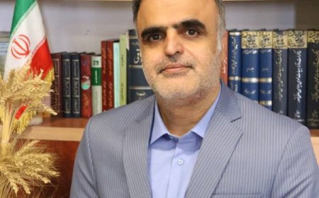 توضیحات معاون پیشگیری از وقوع جرم دادگستری فارس در خصوص شرکت های پانزی