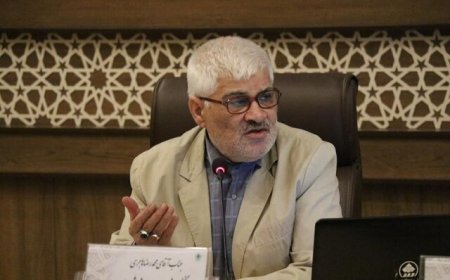 عضو شورای شهر شیراز: کارها را مردمی کنیم