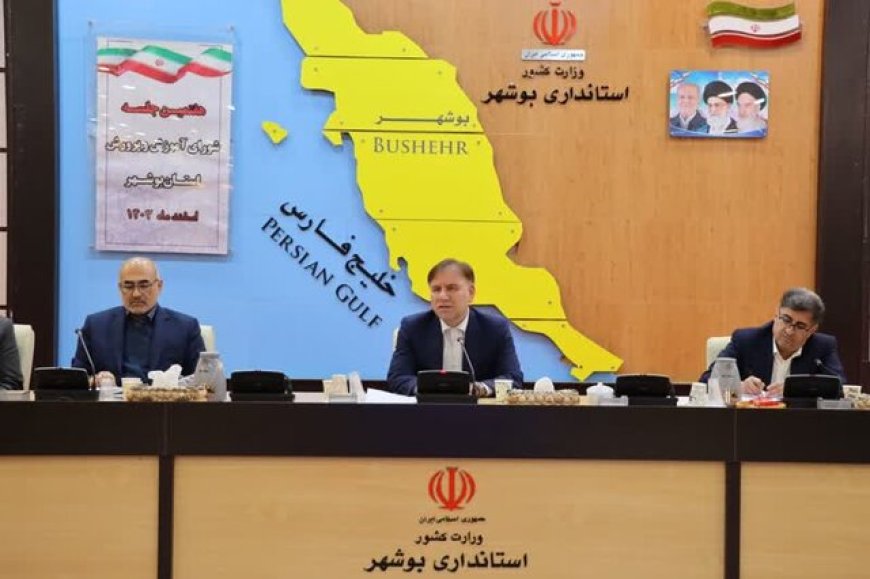 استاندار بوشهر: زیرساخت‌های لازم برای دیجیتالی کردن اسناد ملی و میراث مکتوب فراهم شود