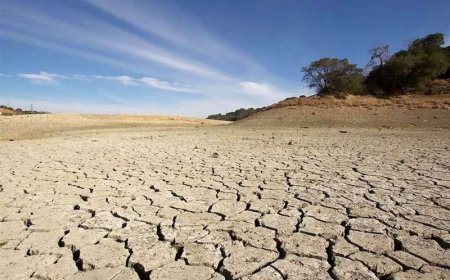 تمام دشت‌های فارس از نظر منابع آبی در حالت بحرانی است