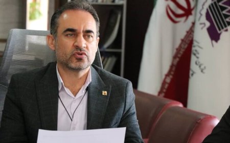 حمایت همه‌جانبه از سرمایه‌گذاران در نواحی صنعتی فارس