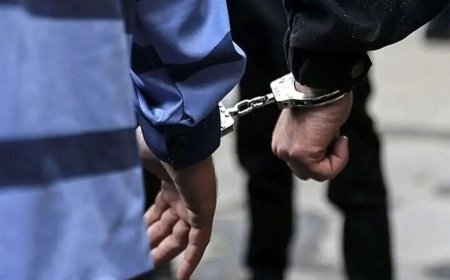 عامل آتش‌زدن عمدی مراتع حاشیه کمربندی شیراز دستگیر شد