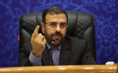 تاکید استاندار فارس بر ساماندهی اتباع بیگانه