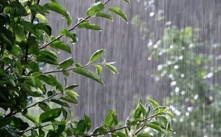 هشدار مدیریت بحران فارس: از ترددهای غیرضروری در شرایط ناپایدار جوی خودداری کنید