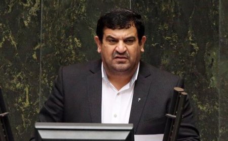 پیگیری آتش سوزی نخل‌های آبادان تا حصول نتیجه/ دولت از انفعال خارج شود