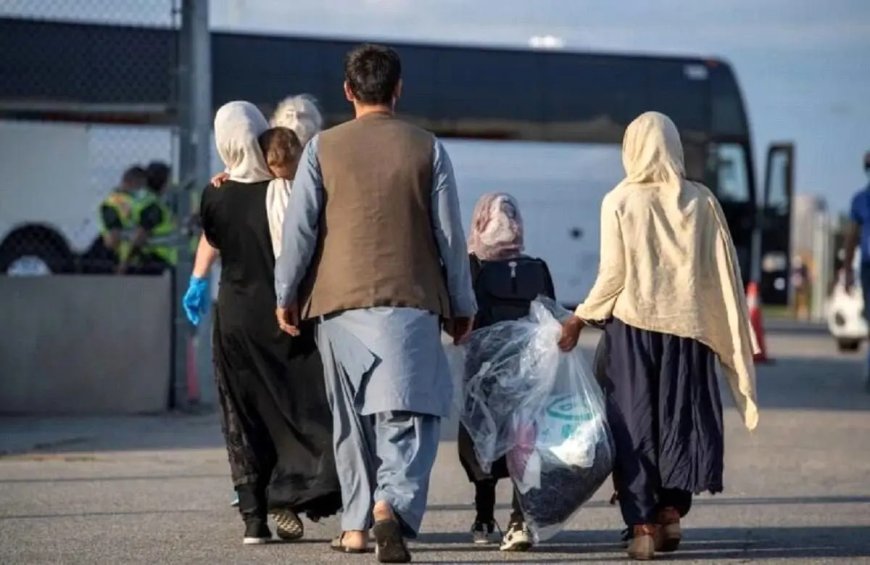 تابع طرد اتباع صعودی شد