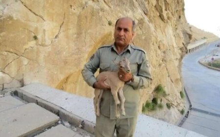 شناسایی و انتشار عکس متهم اصلی پرونده شهادت محیط بان خائیز در فضای مجازی