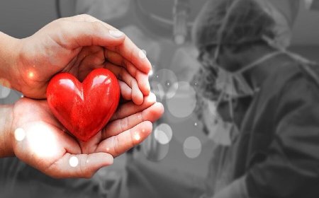 اهدای عضو در شوش؛ سه بیمار در انتظار پیوند نجات یافتند