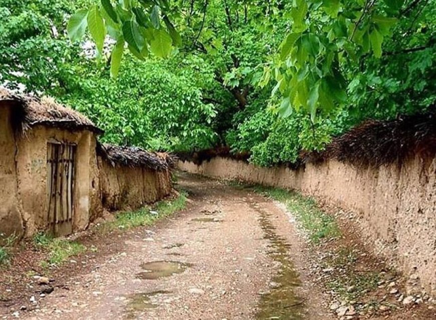 باغات شیراز؛ سرمایه‌ای در معرض نابودی