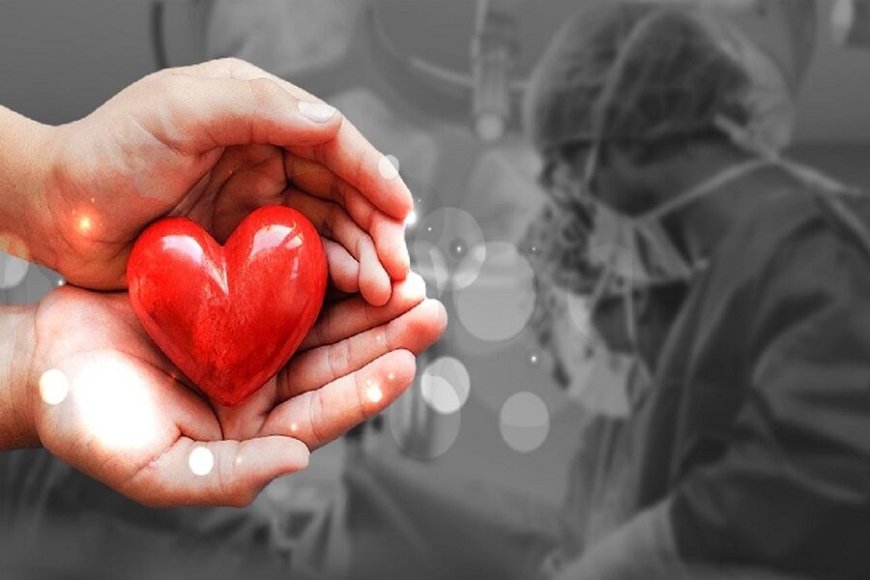 اهدای عضو در شوش؛ سه بیمار در انتظار پیوند نجات یافتند