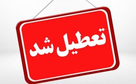 پلمب دو واحد آلاینده در شیراز؛ هشدار جدی محیط‌زیست فارس به صنایع متخلف