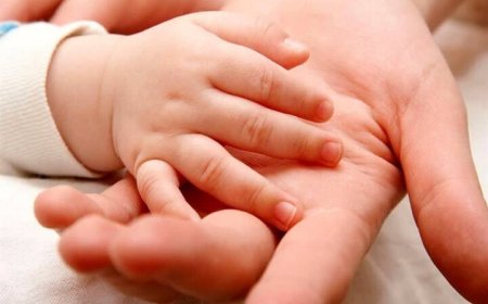 مدیرکل ثبت احوال بوشهر: تولد پسران در استان بیشتر شده است
