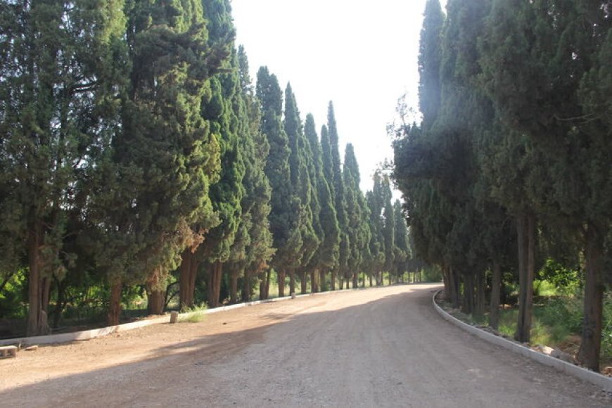 باغ تاریخی سه‌گوش شیراز توسعه می‌یابد