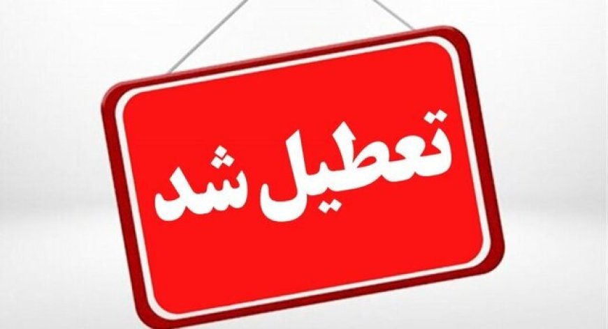 پلمب دو واحد آلاینده در شیراز؛ هشدار جدی محیط‌زیست فارس به صنایع متخلف