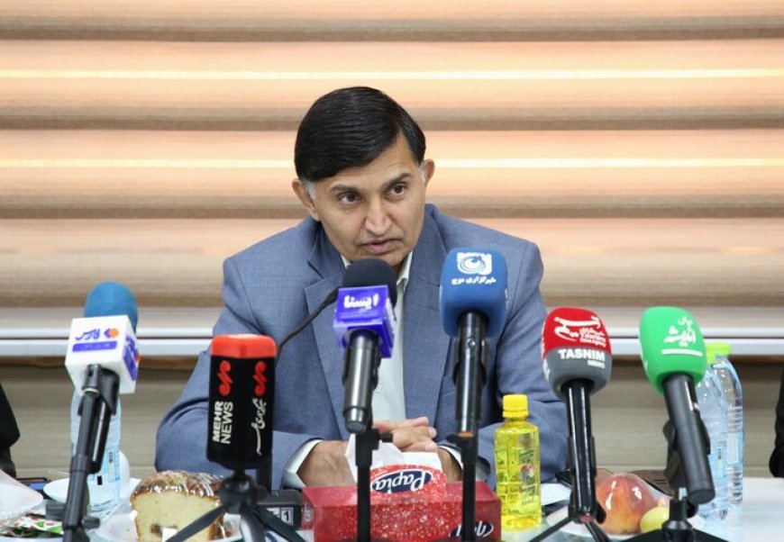 میرزاده: ۳۶۸ محل مشاهده پشه آئدس در بندرعباس پاکسازی شد