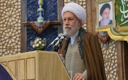 امام جمعه شیراز: مخالفت با حرکت کاروان «صمود» مخالفت با اراده جهانی است