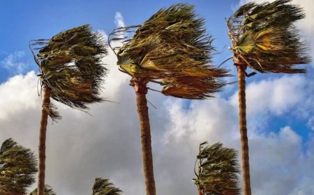 هشدار هواشناسی هرمزگان: وزش باد شمال‌شرقی و احتمال گردوغبار در شرق استان