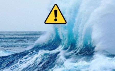 صدور هشدار زرد دریایی هواشناسی در سواحل بوشهر