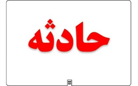 زن ۴۰ ساله در بندرکنگ هدف حمله سگ‌ ولگرد قرار گرفت