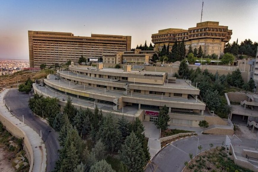افتخارآفرینی دانشجویان شیراز در المپیاد علمی ۱۴۰۴