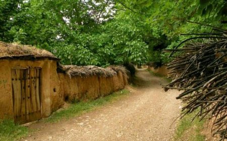 شتاب در برخورد با ساخت‌وسازهای غیرمجاز در باغ‌های قصردشت