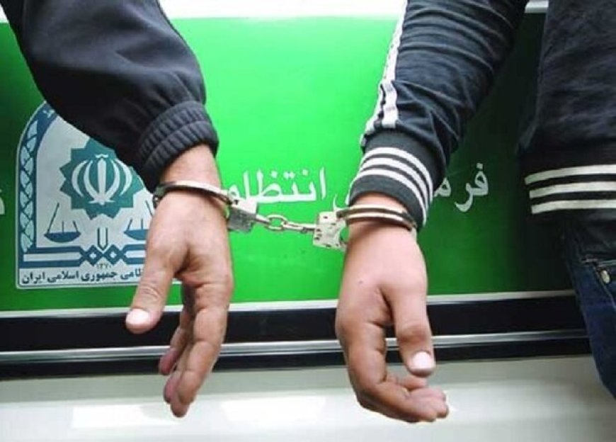سارقین منزل شیرازی‌ها با ۱۵ فقره سرقت دستگیر شدند