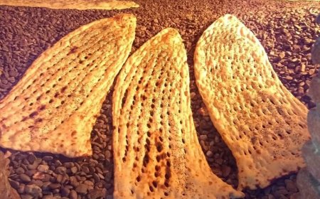 آغاز پویش ملی «نان سلامت» در کهگیلویه و بویراحمد