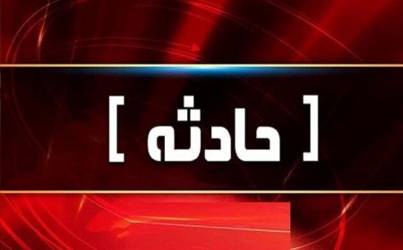 حمله یک متخلف بهداشتی به کارشناس دامپزشکی بویراحمد؛ پرونده قضایی تشکیل شد