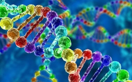 پادکست/آیا ژنتیک می تواند سرنوشت ما راتعیین کند؟