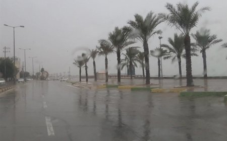 میزان بارش در شهرهای استان بوشهر