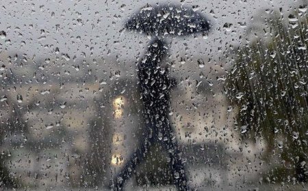 رستم در صدر میزان بارش‌های اخیر فارس قرار گرفت/ بارش برف در مناطق شمال غرب استان