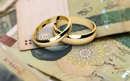 تاجگردون: وام‌ ازدواج و فرزندآوری در بودجه حذف نشده است