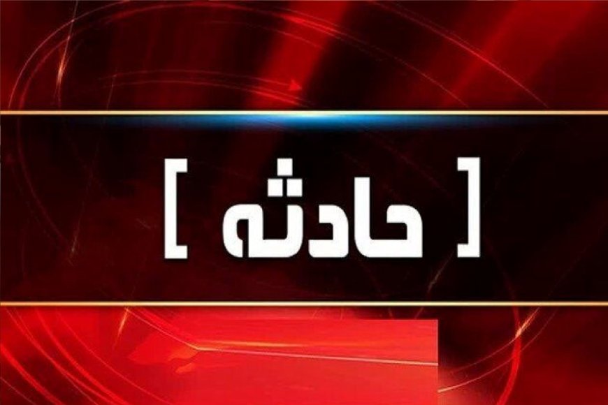 حمله یک متخلف بهداشتی به کارشناس دامپزشکی بویراحمد؛ پرونده قضایی تشکیل شد