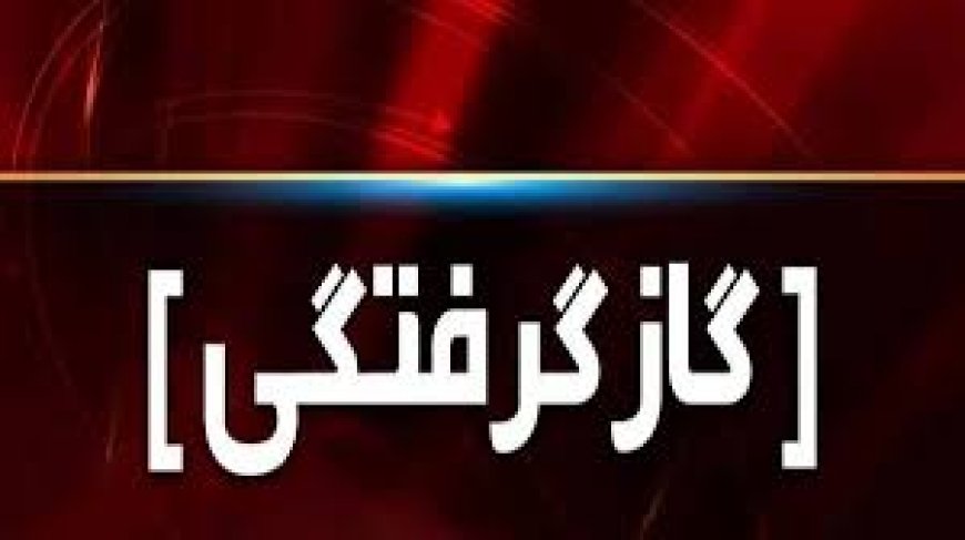 گازگرفتگی ۷۵ نفر را در کهگیلویه و بویراحمد راهی بیمارستان کرد